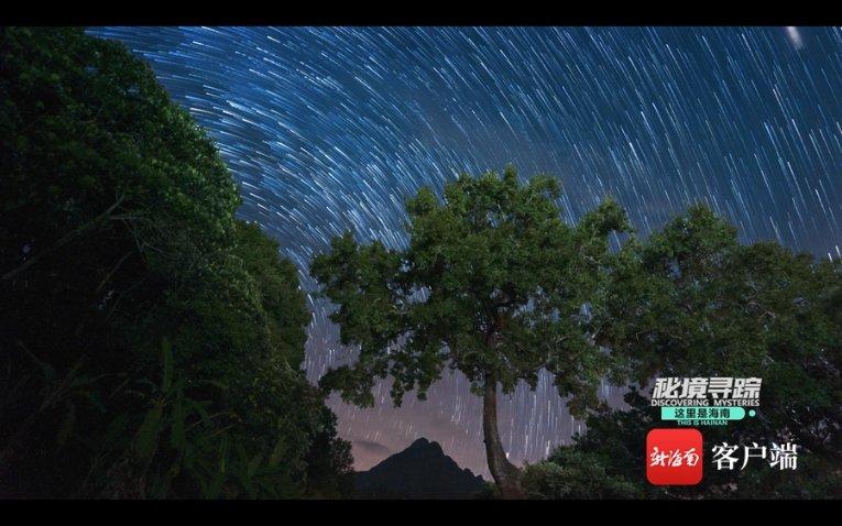 探索知识的福建一女老师及其母亲家中遇害,凶手的作案动机是什么?蜗牛问答