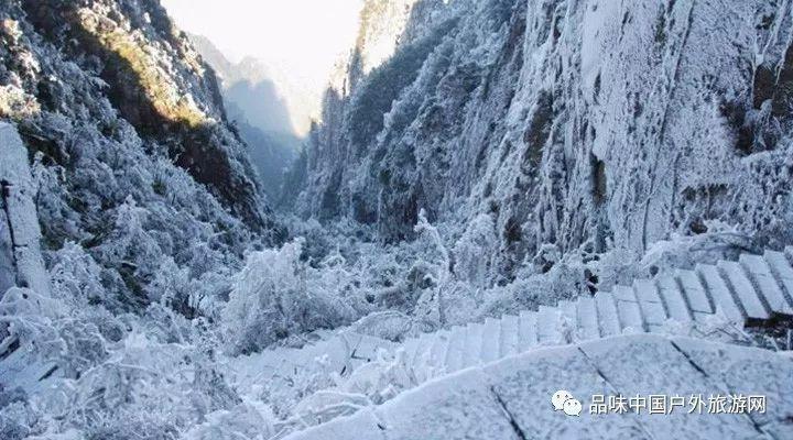 福建省人大常委会委员、民革福建省委会副主委李智：推动数据资产化与金融化，让企业“家底”更直观