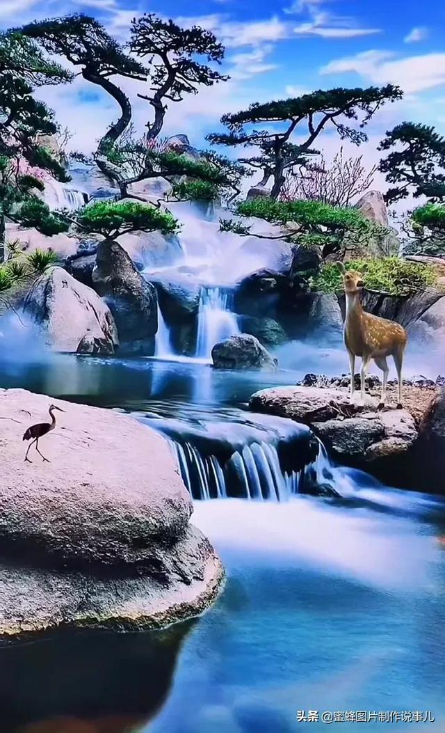 小猫钓鱼游戏龙王版有船