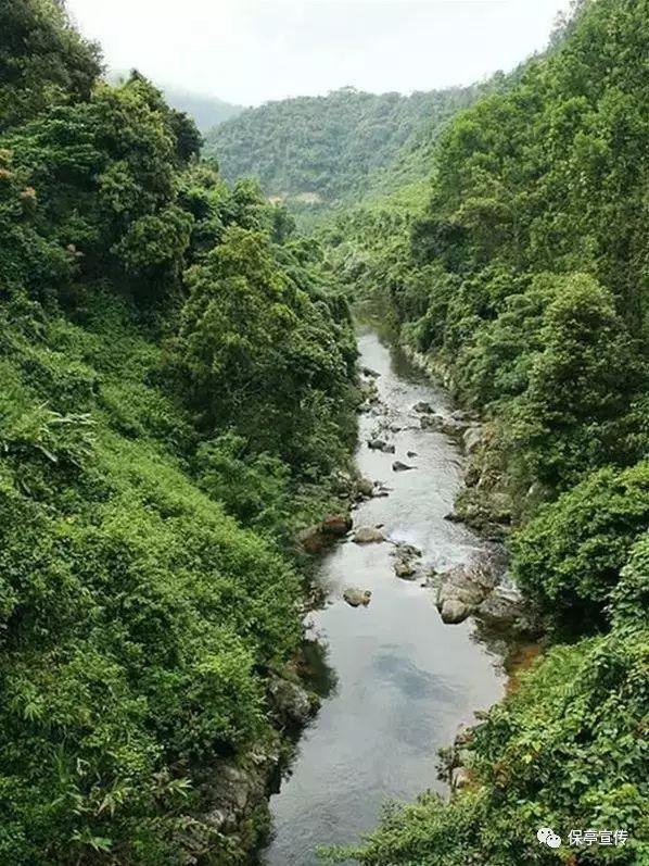 月光影视