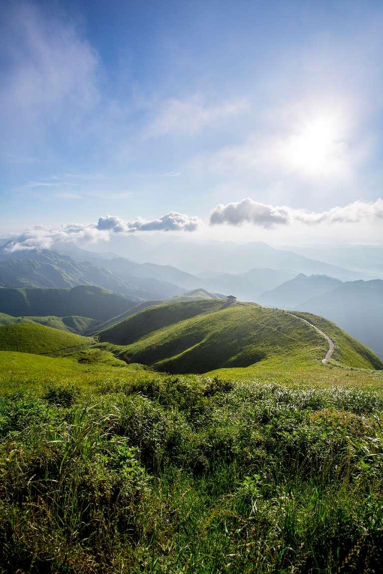 虫虫助手下载